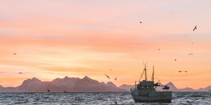 white sailboat in body of water during sunset